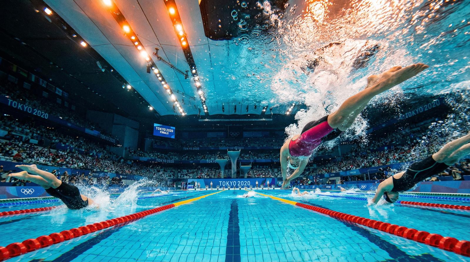 小马拉大车游泳赛事视频